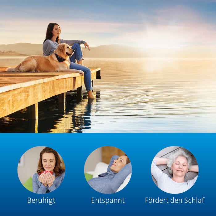 Calmvalera Tabletten bei nervösen Störungen wie Schlafstörungen und Unruhe, 60 St. Tabletten