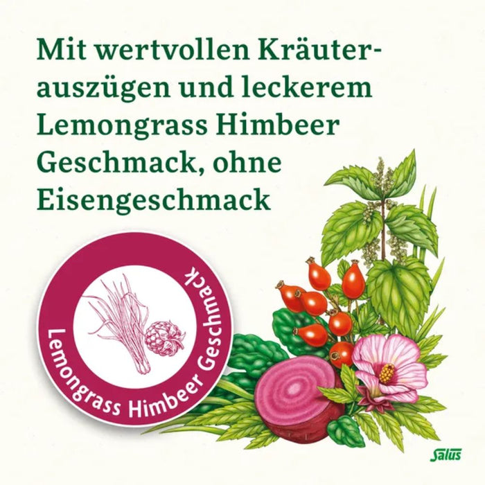 Floradix Eisen Sticks für die schnelle Eisenversorgung mit Lemongrass Himbeer Geschmack, 20 St. Sticks