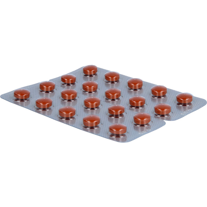 rhodioLoges 200 mg Filmtabletten, 60 pcs. Tablets