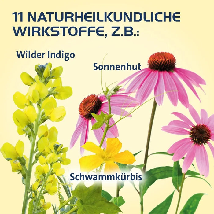 Sinusitis Hevert, 300 St TAB