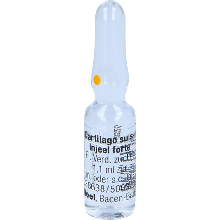 Cartilago suis-Injeel forte Inj.-Lsg., 10 pc Ampoules