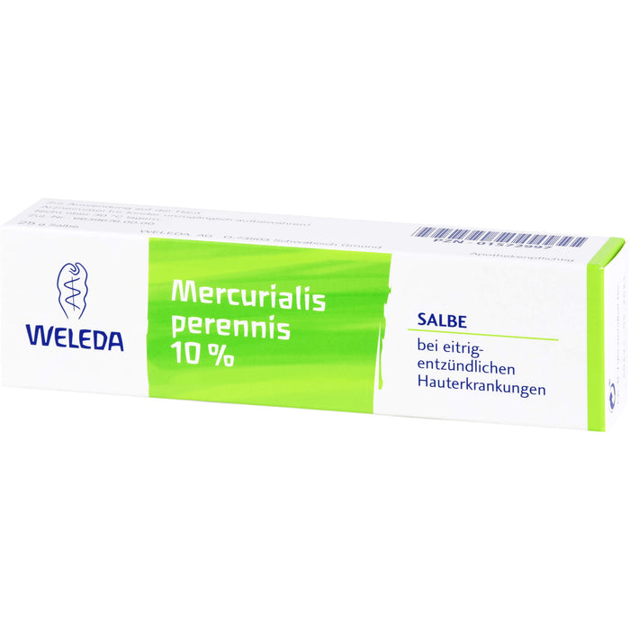 WELEDA Mercurialis perennis 10 % Salbe bei eitrig-entzündlichen Hauterkrankungen, 25 g Onguent