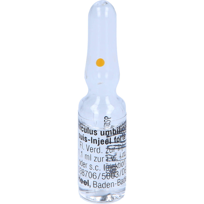 Funiculus umbilicalis suis-Injeel forte Inj.-Lsg., 10 St AMP
