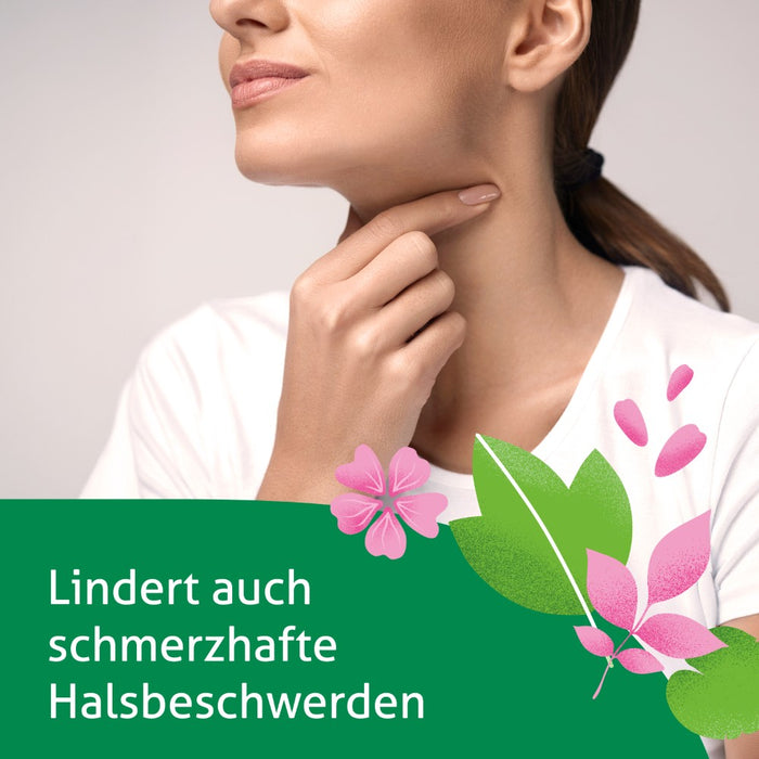 Phytohustil Hustenreizstiller Sirup, 150 ml Lösung