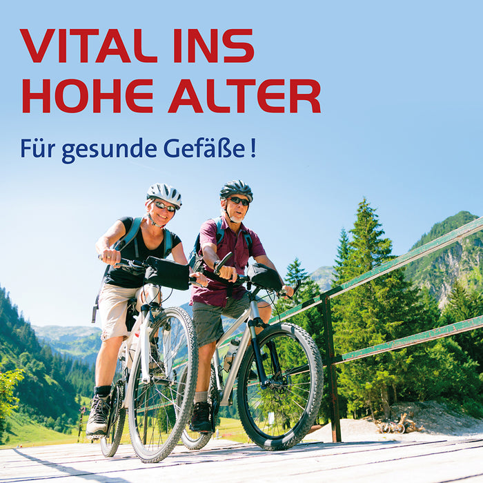 Ginkgo biloba comp. Hevert bei Gefäßverkalkung, 200 ml Solution