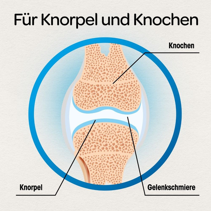Dr. Böhm Knorpel & Knochen, 120 pcs. Tablets