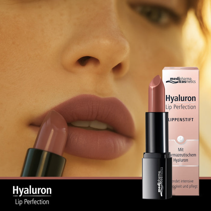 Hyaluron Lip Perfection Lippenstift nude, 4 g Pen