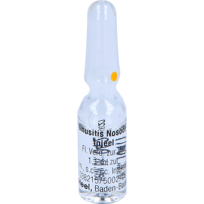 Heel Sinusitis-Nosode-Injeel flüssige Verdünnung, 10 pcs. Ampoules