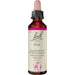 Bach-Blüte Pine, 20 ml Lösung
