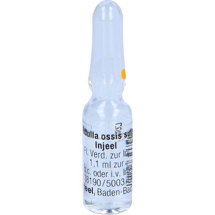 Medulla ossis suis-Injeel Inj.-Lsg., 10 pc Ampoules