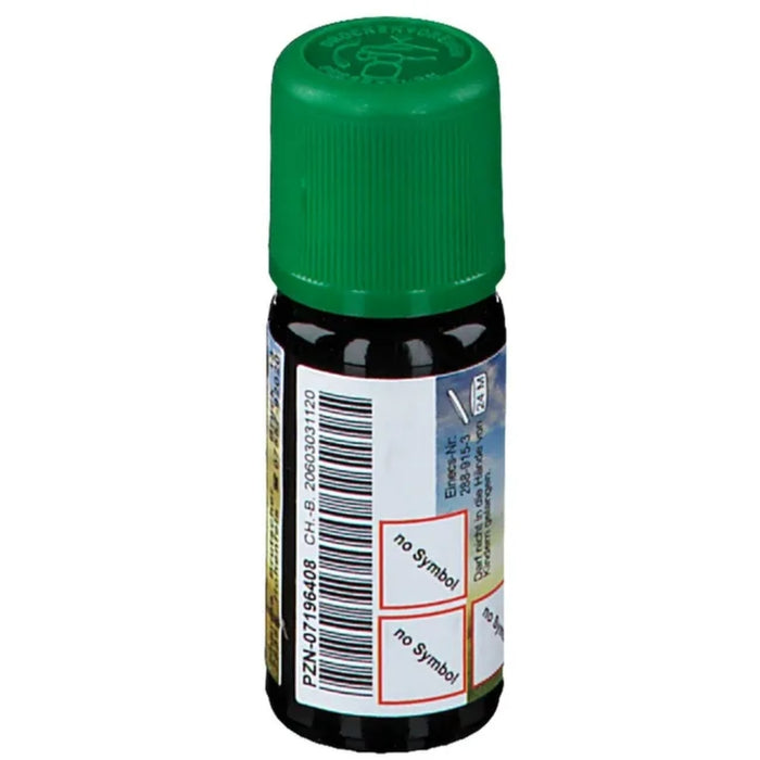 CHRÜTERMÄNNLI Birkenteeröl, 10 ml Huile