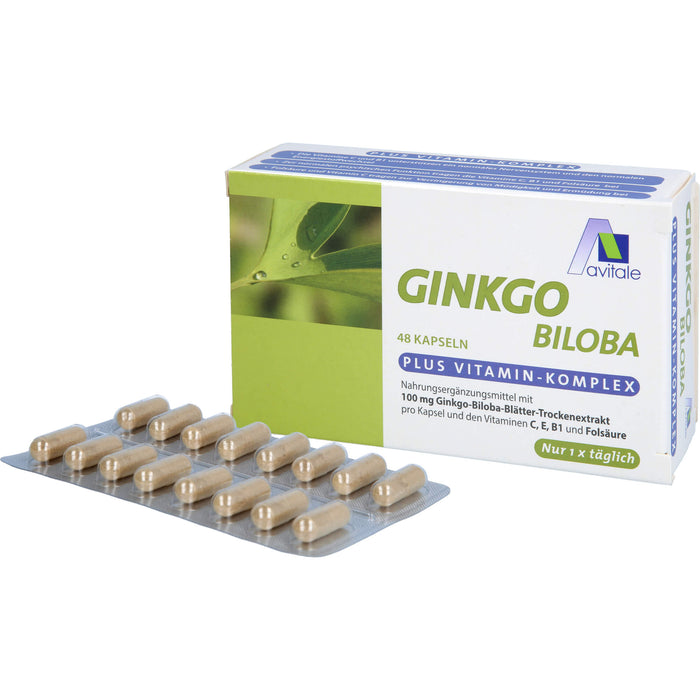 Ginkgo Biloba Kapseln, 48 St KAP