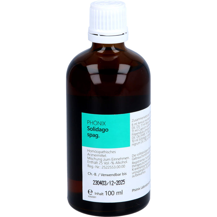 PHÖNIX Solidago spag. Mischung, 100 ml Solution