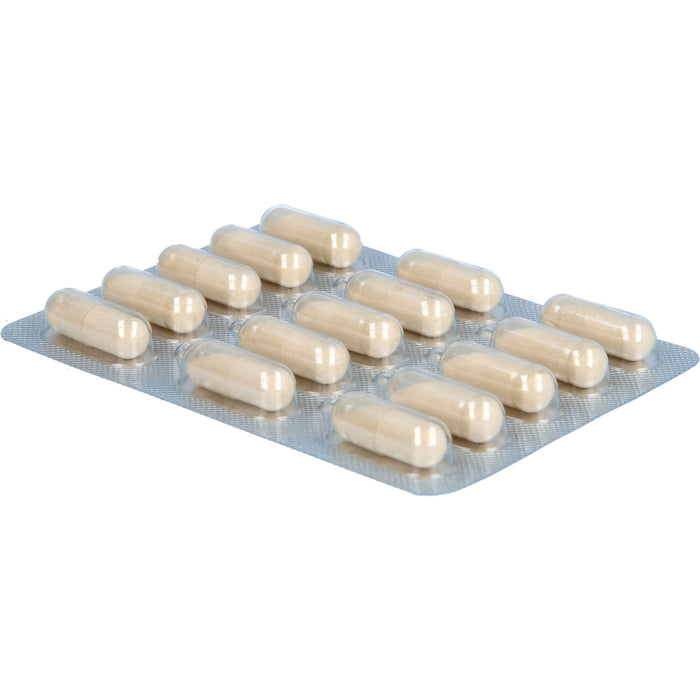 Dekristolvit D3 2000 I.E. Kapseln unterstützt das Immunsystem und den Erhalt normaler Knochen und Muskeln, 60 St. Kapseln