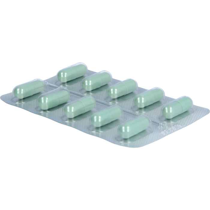 Lioran classic für Nacht und Tag die Passionsblume, 260 mg Hartkapseln, 20 St HKP