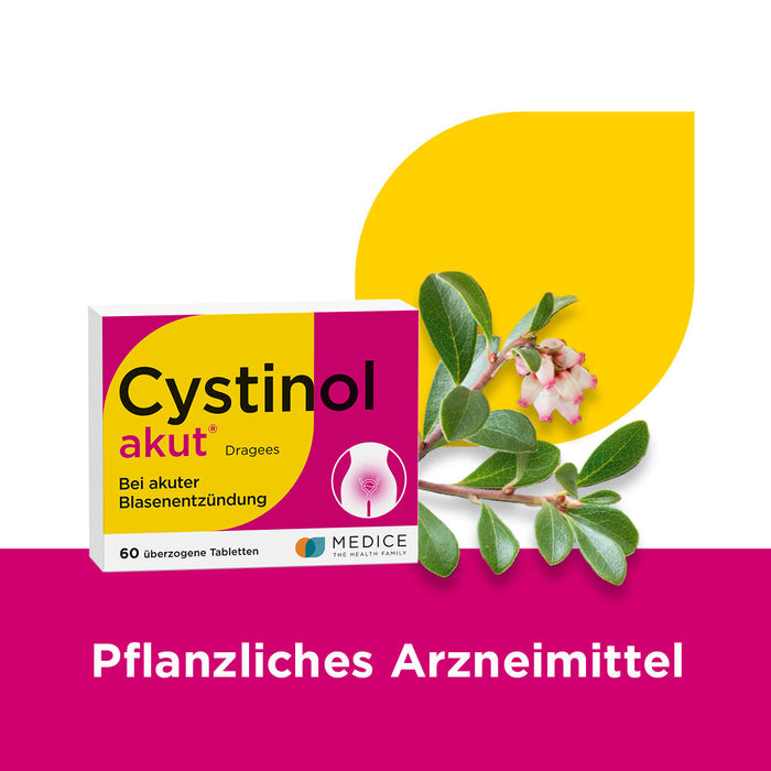 Cystinol akut Dragees bei Harnwegserkrankungen, 60 pc Tablettes