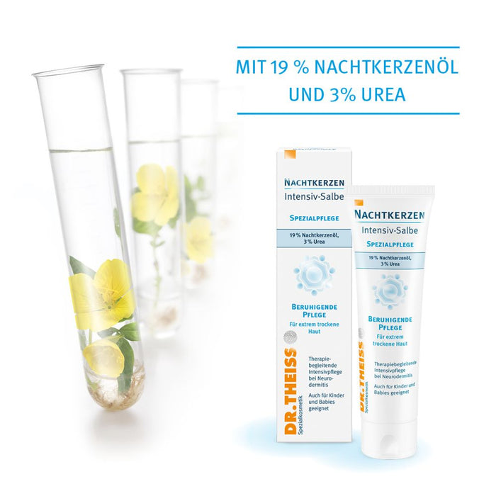DR. Theiss Nachtkerzen Intensiv-Salbe, 50 g Ointment