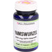 GALL PHARMA Yamswurzel 500 mg GPH Kapseln, 60 St. Kapseln