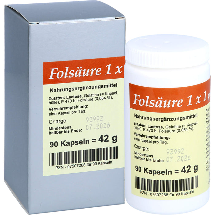 Folsäure 1 X 1 pro Tag, 90 St KAP