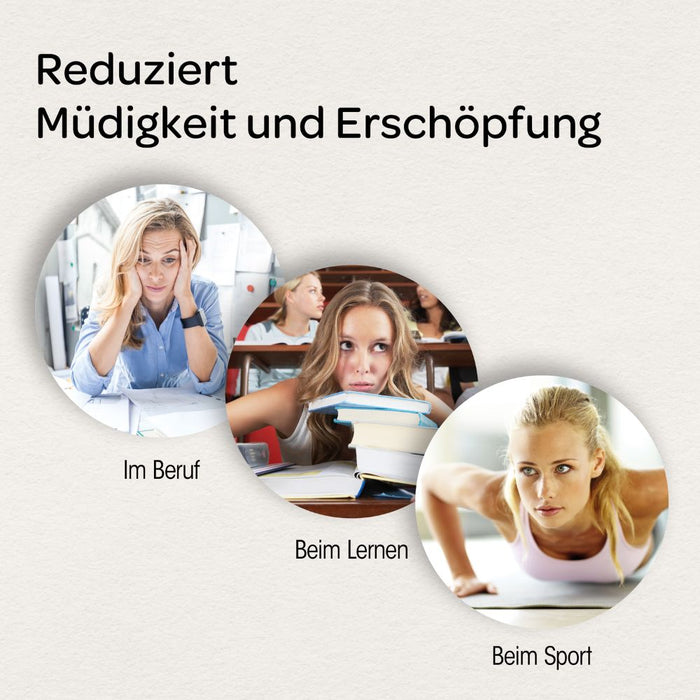 Dr. Böhm Leistungselixier, 14 pcs. Sachets