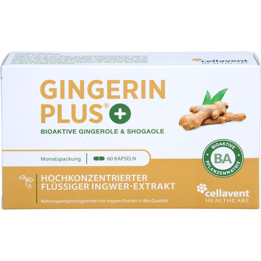 Gingerin Plus hochkonzentriertes flüssiges Ingwer-Extrakt Kapseln, 60 St. Kapseln