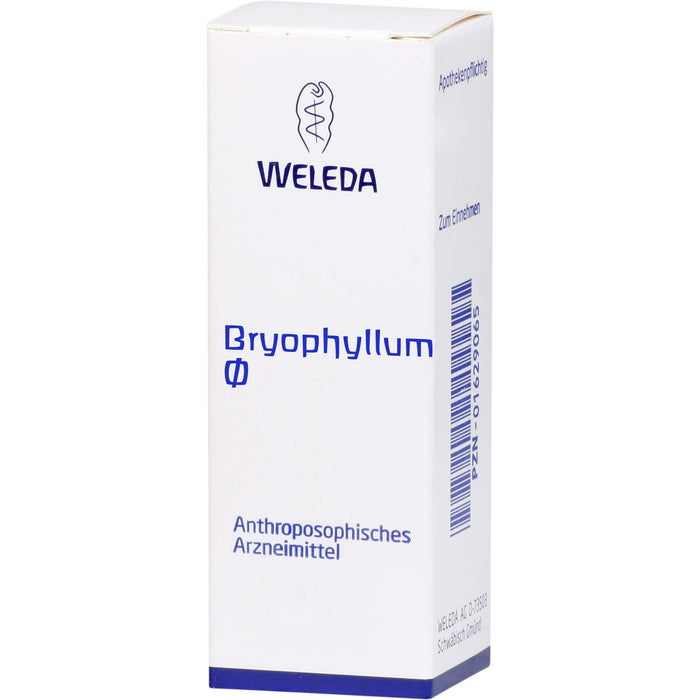 WELEDA Bryophyllum Urtinktur, 50 ml Solution