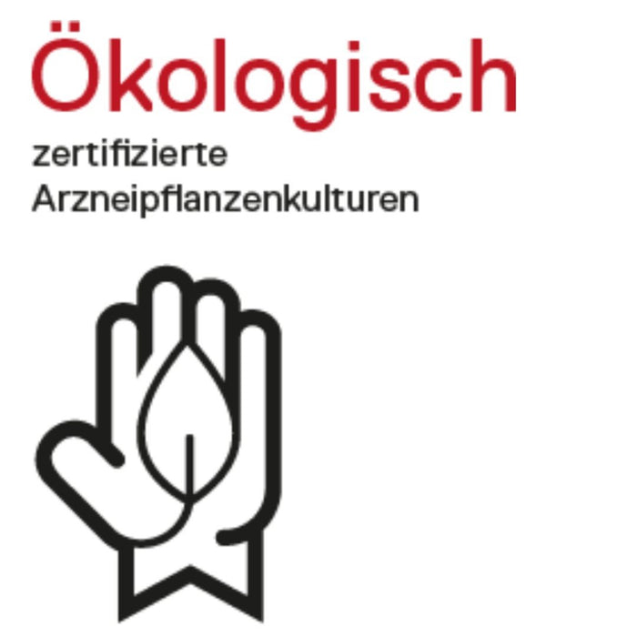 DHU Heuschnupfenmittel, 100 ml Solution
