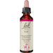 Bach Original Bach-Blüten Nr. 11 Elm Ulme Tropfen, 20 ml Lösung