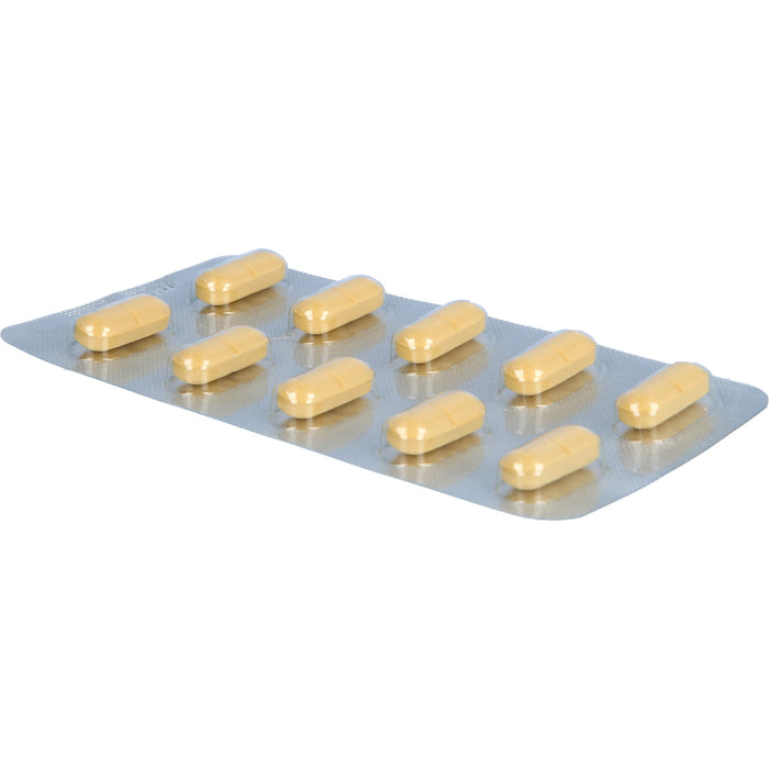 Ginkgo AL 240 mg Filmtabletten für Gedächtnis und Konzentration bei leichter Demenz, 30 pcs. Tablets