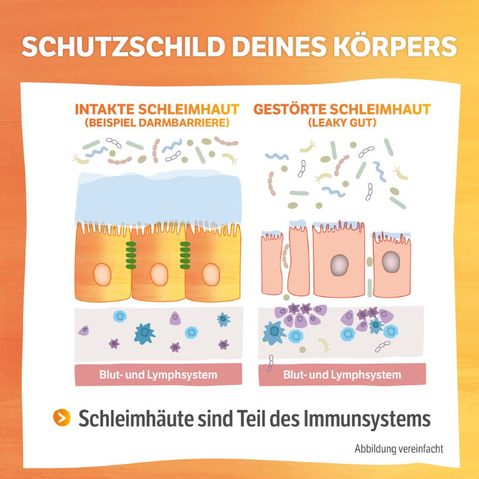 HELIXOR Sanomucin 3-fach Unterstützung für Schleimhäute, 180 pcs. Capsules
