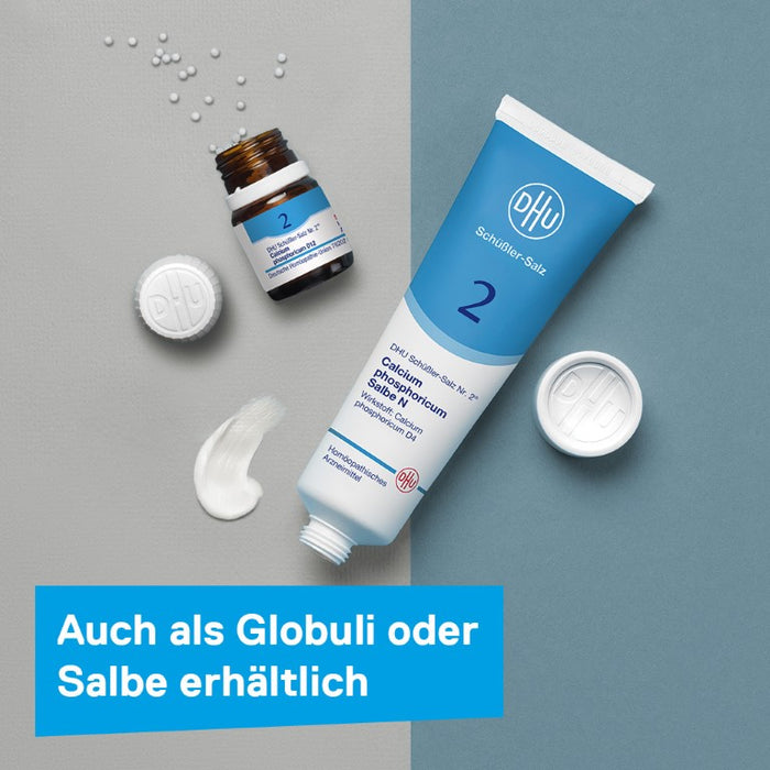 DHU Schüßler-Salz Nr. 2 Calcium phosphoricum D6, 80 St. Tabletten