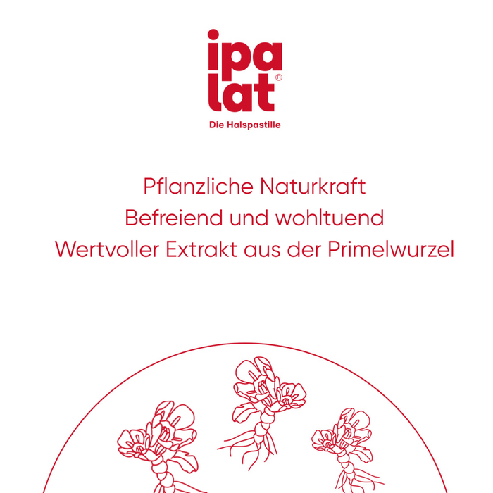 ipalat Die Halspastille Zuckerfrei: Naturkraft bewährt bei Heiserkeit & Hustenreiz, 400 St. Pastillen