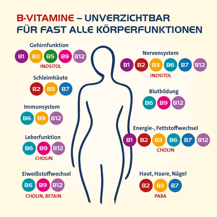 Vitamin B Complete Hevert All-in-One mit allen 8 Vitaminen des B-Komplexes und 4 bioaktiven Vitaminoiden, 120 pcs. Capsules