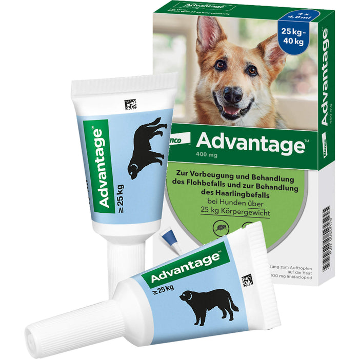 Elanco Advantage 400 bei Hunden 25 kg - 40 kg Lösung zur Vorbeugung und Behandlung des Floh- und Haarlingsbefalls, 4 pc Ampoules
