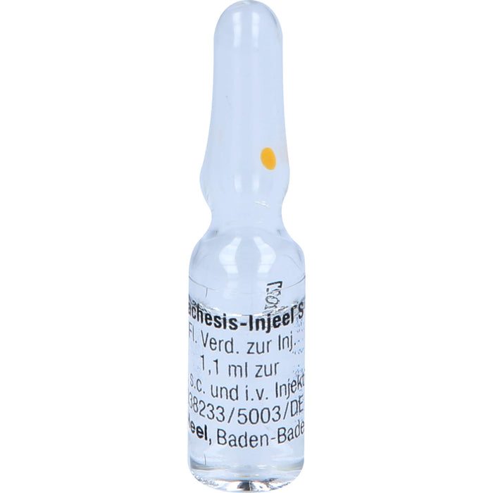 Heel Lachesis-Injeel S flüssige Verdünnung, 10 pcs. Ampoules