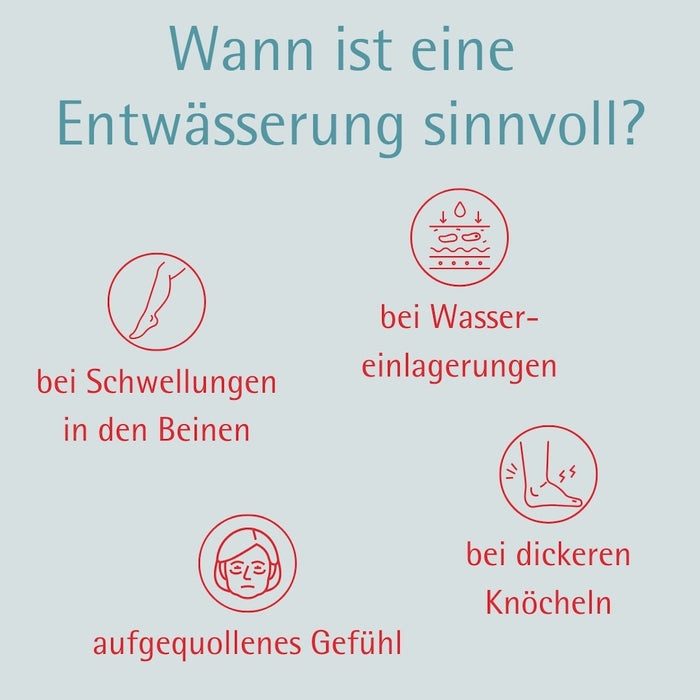 Allga Med Entwässerungskapseln, 30 pcs. Capsules