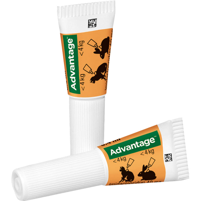advantage 40 mg zur Vorbeugung und Behandlung des Flohbefalls bei Katzen und Zierkaninchen bis 4 kg, 4 pc Récipients à dose unique