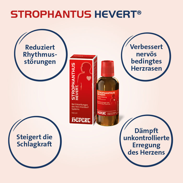 Strophanthus Hevert bei Herzbeschwerden, 30 ml 