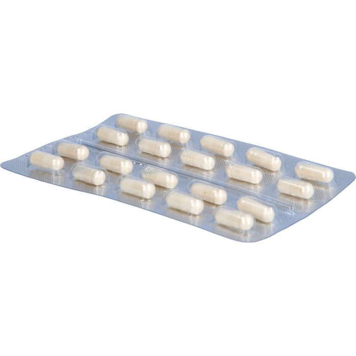 Doloctan forte, 80 pcs. Capsules