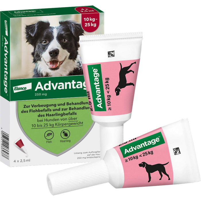 Advantage 250 mg Lösung zum Auftropfen bei Hunden, 4 pc Ampoules