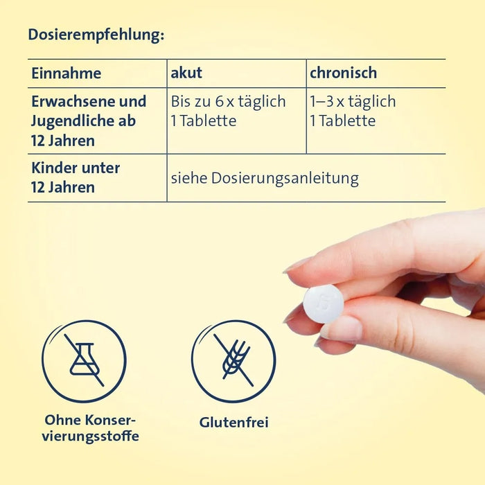 Sinusitis Hevert, 300 St TAB