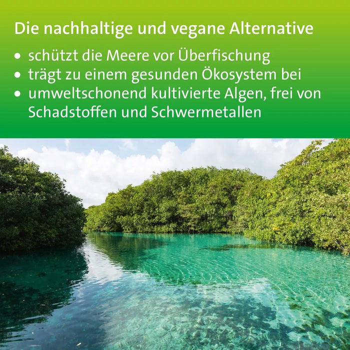 Omega-3 Hevert pflanzlich für eine gesunde Herzfunktion, Gehirnleistung und Sehkraft, 60 St. Kapseln