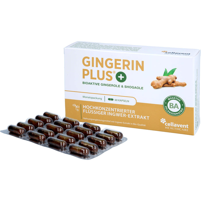 Gingerin Plus hochkonzentriertes flüssiges Ingwer-Extrakt Kapseln, 60 pcs. Capsules