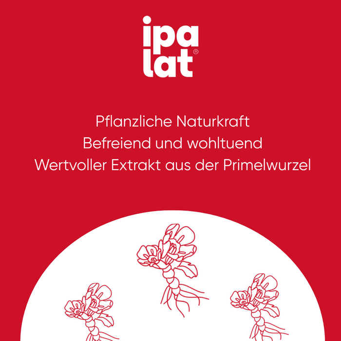 ipalat Die Halspastille zuckerfrei mentholfrisch, 400 pcs. Pastilles