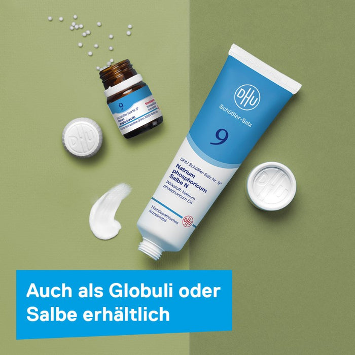 DHU Schüßler-Salz Nr. 9 Natrium phosphoricum D6 – Das Mineralsalz des Stoffwechsels – das Original – umweltfreundlich im Arzneiglas, 900 pc Tablettes